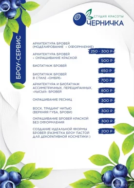 Снт черничка ульяновск карта